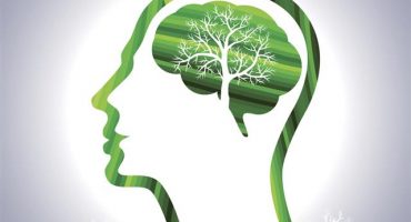 THE-PRACTICAL-IMPORTANCE-OF-ENVIRONMENTAL-PSYCHOLOGY